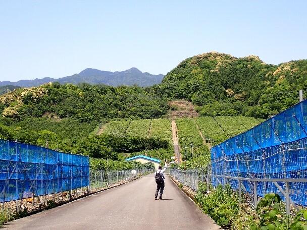 現地視察を行った中立団地の状況